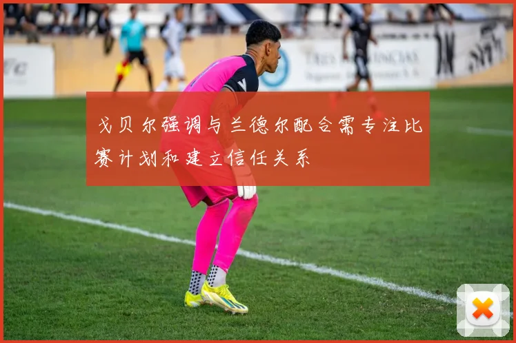 戈贝尔强调与兰德尔配合需专注比赛计划和建立信任关系