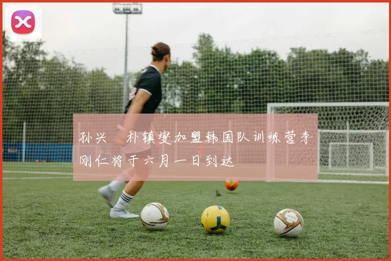 孙兴慜朴镇燮加盟韩国队训练营李刚仁将于六月一日到达